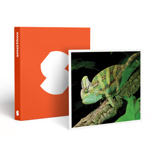 SMARTBOX - Coffret Cadeau Rencontre avec les reptiles et les amphibiens pour 2 personnes près de Mâcon - Sport & Aventure