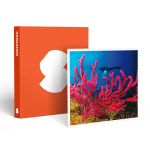 SMARTBOX - Coffret Cadeau Baptême de plongée passionnant de 3h en duo au large de Fréjus - Sport & Aventure