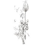 Étui de 5 crayons graphite Castell 9000 Jumbo HB 2B 4B 6B 8B FABER-CASTELL