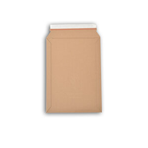 Lot de 1000 enveloppes carton wellbox 4 format 250x353 mm