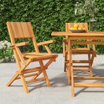 vidaXL Chaises de jardin pliantes lot de 2 55x61x90cm bois massif teck