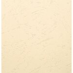 Paquet De 100 Couvertures Grain Cuir Pour Reliure A3 - Ivoire - Papeteries De Clairefontaine