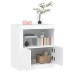 vidaXL Buffet avec lumières LED blanc 60 5x37x67 cm