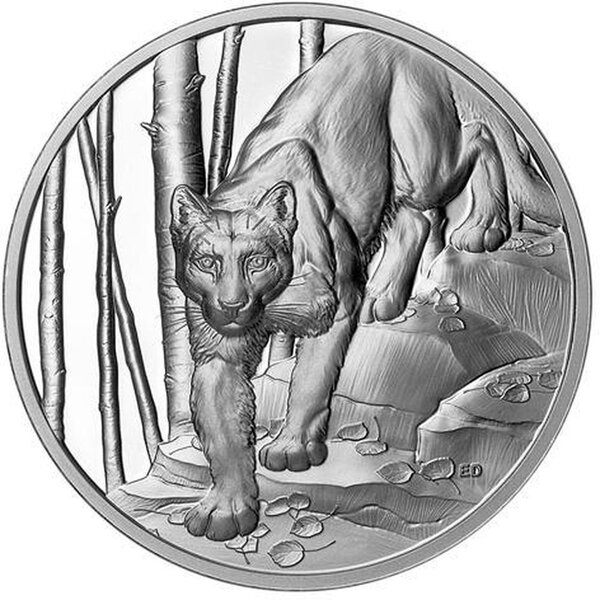 Pièce de monnaie en Argent 20 Dollars g 31.39 Millésime 2024 Great Hunters COUGAR