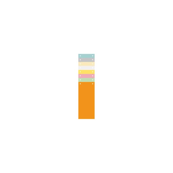 Paquet 100 Fiches Intercalaires Horizontales Unies Perforées - 105x240mm - Couleurs Assorties - X 12 - Exacompta