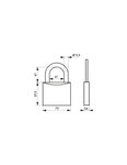 THIRARD - Cadenas à clé Type 1  laiton  intérieur  anse acier  75mm  2 clés