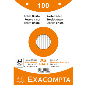 10 Paquets 100 fiches sous film bristol quadrillé perforé 148x210mm Couleurs assorties EXACOMPTA