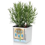 Lechuza jardinière de table cube color 14 all-in-one blanc
