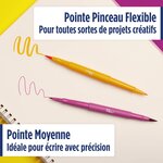 Feutre double pointe Flair Dual Brush  en blister de 8 Paper Mate