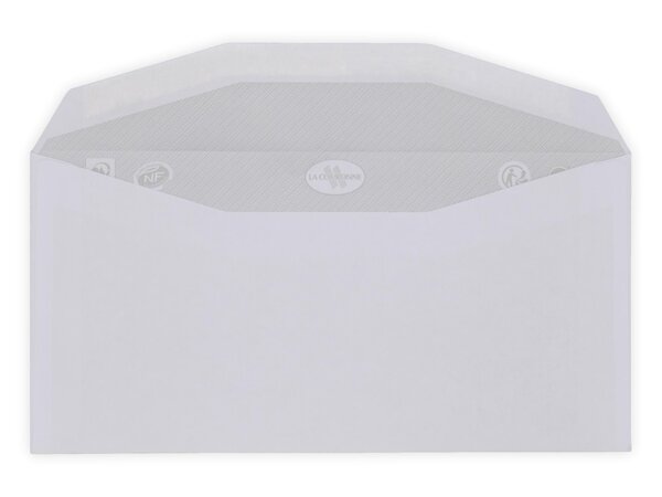 Lot de 1000 enveloppes courrier dl 114 x 229 mm
