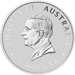 Pièce de monnaie en Argent 1 Dollar g 31.1 (1 oz) Millésime 2025 AUSTRALIAN WEDGE-TAILED EAGLE