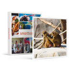 SMARTBOX - Coffret Cadeau Activité en famille : entrée pour 2 adultes et 1 enfant au Parc Zoologique de Paris -  Sport & Aventure