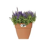 Vibia Campana Bac à fleurs Carré 37 - Marron Ø 36 x 36 cm