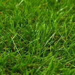 vidaXL Gazon artificiel 1x15 m/30 mm Vert