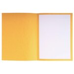 Paquet De 25 Dossiers De Plaidoirie Pour/contre Carte Lustrée 25x32cm - Couleurs Assorties - X 5 - Exacompta