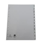 Intercalaires Imprimés Mensuels Pp Recyclé Gris - Januar-dezember(allemand) - 12 Positions - A4 - Gris - X 25 - Exacompta