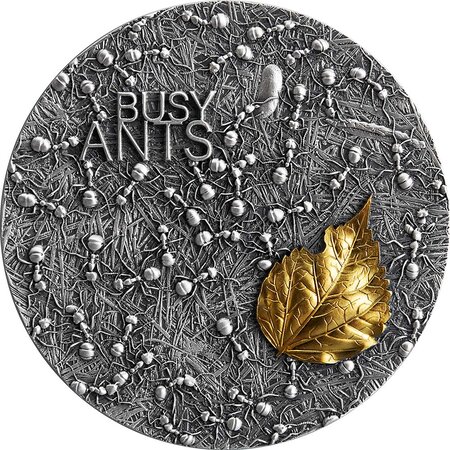 Pièce de monnaie en argent 10 cedis g 62.2 (2 oz) millésime 2022 nature architects busy ants