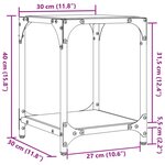 vidaXL Tables basses avec dessus en verre noir 2 Pièces 30x30x40 cm acier