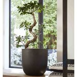 Capi Jardinière Urban Smooth 35x34 cm noir KBL932