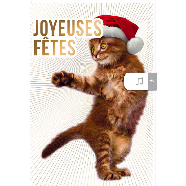 Carte De Vœux Musicale Joyeuses Fêtes Chaton - Draeger paris
