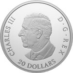 Pièce de monnaie en Argent 20 Dollars g 31.1 (1 oz) Millésime 2024 ROYAL CANADIAN AIR FORCE