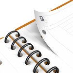 MEETINGBOOK A4+ 160p 90g lignée 6mm couverture polypro x 5 OXFORD