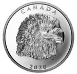 Pièce de monnaie 25 Dollars Canada Noble pygargue à tête blanche 2020 – Argent BE