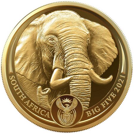 Pièce de monnaie en Or 50 Rand g 31.1 (1 oz) Millésime 2021 Big Five II ELEPHANT