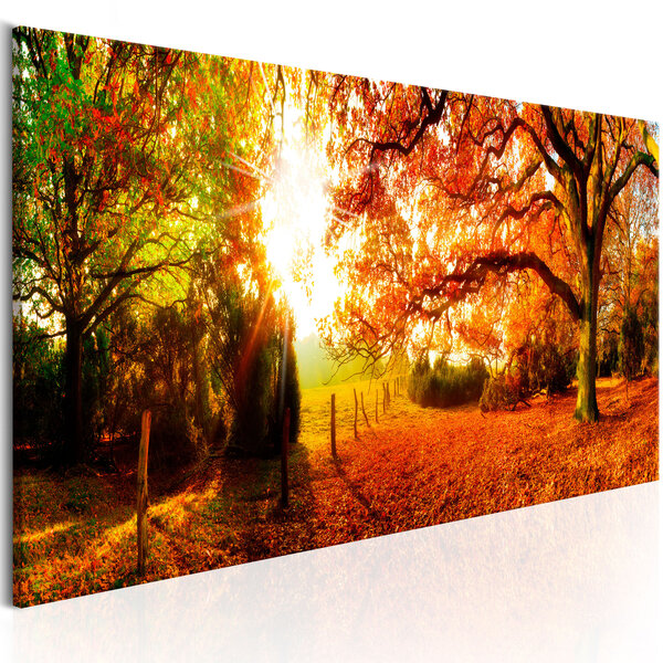 Tableau - magic of autumn l x h en cm 120x40