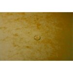 Trieur agrafé avec élastiques 7 compartiments Jaune EXACOMPTA