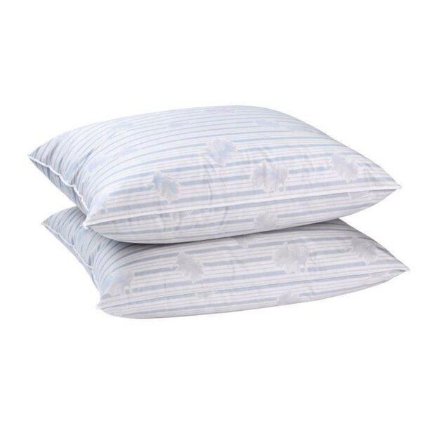 2 oreillers plumes 60 x 60 cm