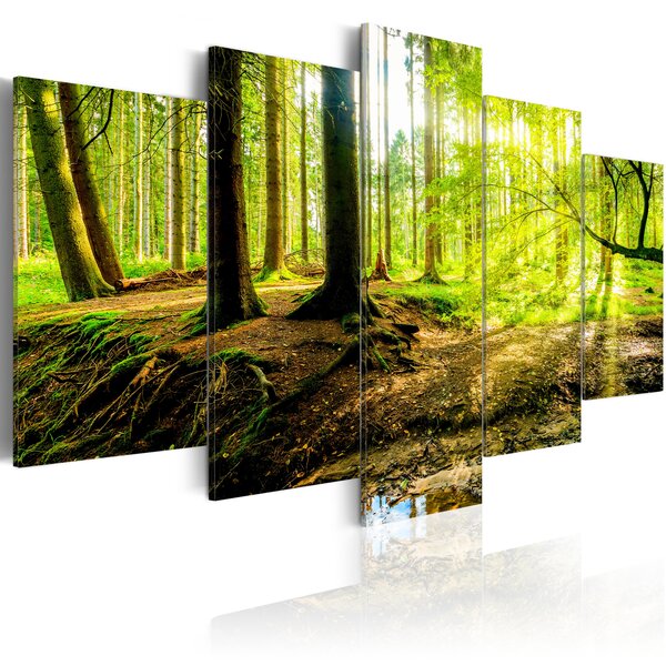 Tableau - poetry of a forest l x h en cm 200x100