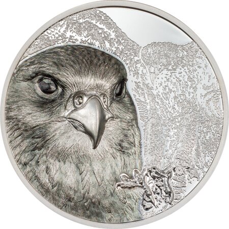 FALCON Wild Mongolia 3 Once Argent Coin 2000 Togrog Mongolia 2023