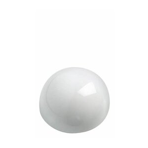 Boite de 10 Aimants hémisphér. 30mm puiss. 0,6kg Blanc MAUL