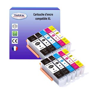 10 Cartouches compatibles avec Canon Pixma MG6300, MG6350, MG6400, MG6450, MG6600, MG6650, MG7100 remplace Canon PGI-550, CLI-551 XL  - T3AZUR