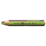 Crayon multi-talents woody 3 in 1 duo - vert clair-marron x 5 stabilo