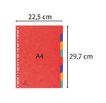 Intercalaires Carte Lustrée 225g 8 Positions - A4 - Couleurs Assorties - X 25 - Exacompta