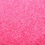 vidaXL Paillasson lavable Rose 60x90 cm