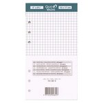 Recharge Organiseur BLOC-NOTES Timer 17 Blanc Quadrillé 10 x 17 cm QUOVADIS