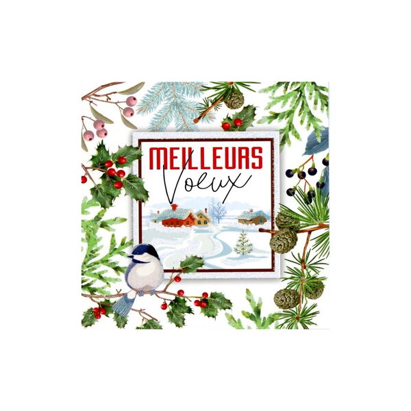 Carte de voeux avec enveloppe - lot de 3 cartes meilleurs voeux