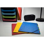 Trieur Harmonika Fenêtres Imprimées Véritable Carte Lustrée 5 Compartiments - Couleurs Assorties - X 8 - Exacompta