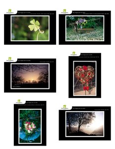Lot de 6 cartes postales - voeux 3 - photos frédéric engel