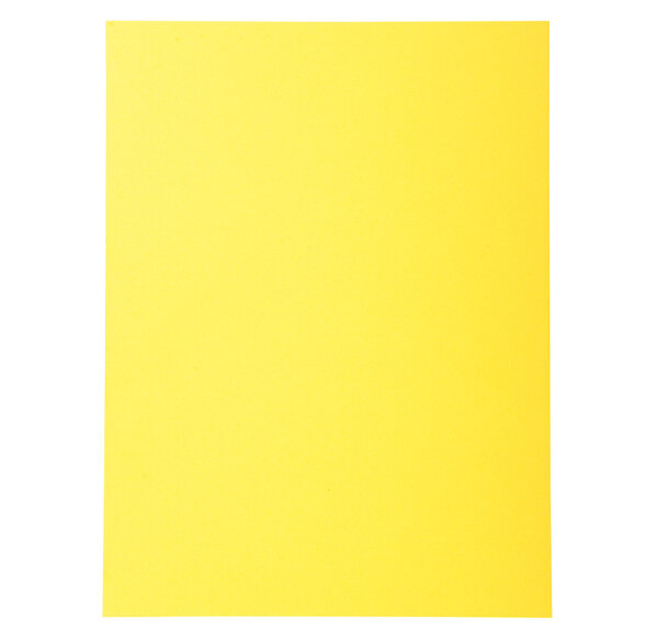 Paquet de 100 chemises Forever® 220 100% recyclé 24x32cm Canari EXACOMPTA