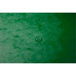 Trieur agrafé avec élastiques 7 compartiments Vert EXACOMPTA