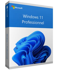 Microsoft Windows 11 Professionnel (Pro) - Clé licence à télécharger