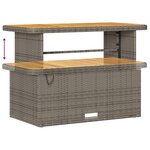 Ensemble de canapé de jardin 10 pièces avec coussins gris poly rattan acacia