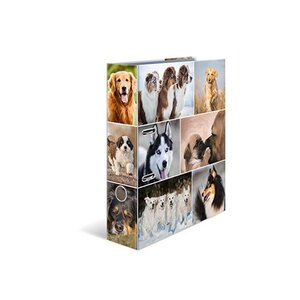 Classeurs à Levier A4 Dos de 70 mm Motifs 'Animals' HERMA