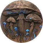 Pièce de monnaie en Argent 2000 Francs g 62.2 (2 oz) Millésime 2025 MAGIC MUSHROOM
