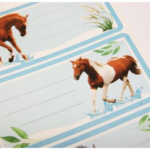 12 étiquettes adhésives scolaires - Rectangle - Photos de chevaux