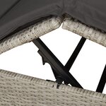 Transat double vidaXL avec toit et rideaux gris clair en poly rotin